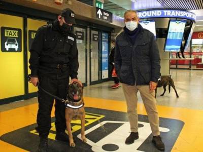 В римском аэропорту появились «антиковидные» собаки - rosbalt.ru - Рим