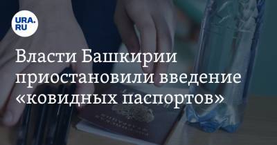 Радий Хабиров - Власти Башкирии приостановили введение «ковидных паспортов» - ura.news - республика Башкирия