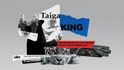 Король тайги и молчание Запада: как российский олигарх создал схему на миллиард долларов - 24tv.ua - Россия