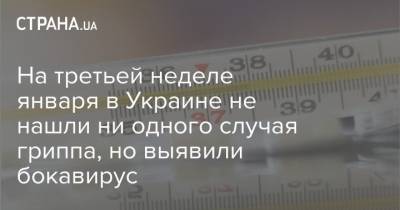 На третьей неделе января в Украине не нашли ни одного случая гриппа, но выявили бокавирус - strana.ua - Украина