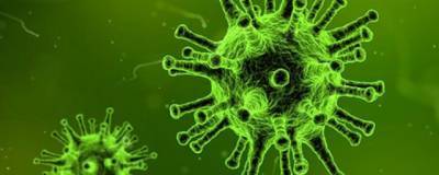 Первые случаи заражения «южноафриканским» штаммом коронавируса выявили в США - runews24.ru - Сша - Юар - штат Южная Каролина