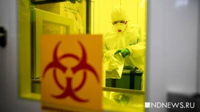 Луис Энрике Мандетт - В Бразилии опасаются «мегаэпидемии» из-за нового штамма коронавируса - newdaynews.ru - Бразилия