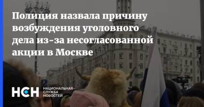 Алексей Навальный - Полиция назвала причину возбуждения уголовного дела из-за несогласованной акции в Москве - nsn.fm - Москва