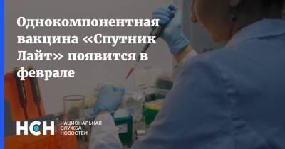 Однокомпонентная вакцина «Спутник Лайт» появится в феврале - nsn.fm - Россия - Евросоюз - Боливия - Алжир