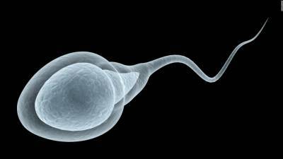 Коронавирус существенно ухудшает качество спермы, – исследование - 24tv.ua