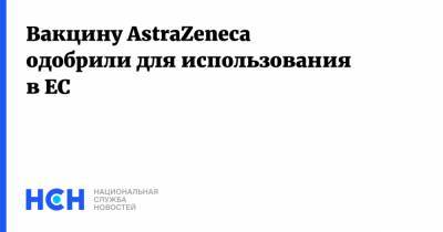 Вакцину AstraZeneca одобрили для использования в ЕС - nsn.fm - Евросоюз - деревня Ляйен