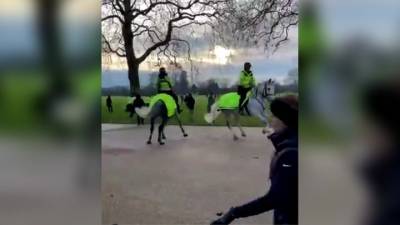 Полиция Лондона разогнала митинг COVID-диссидентов в Гайд-парке - vesti.ru - Англия - Лондон