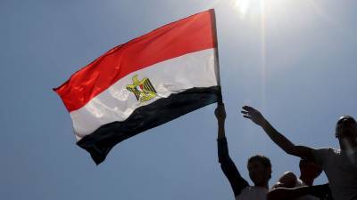 Хала Заид - Смерти из-за COVID-19 в Египте составили 3,3% всех летальных исходов в 2020 году - gazeta.ru - Египет