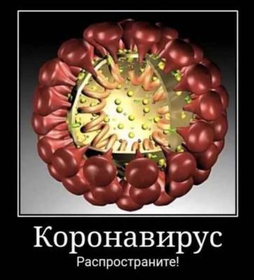 Демотиваторы про коронавирус с надписями. Подборка №chert-poberi-dem-koronavirus-37330614122020 - skuke.net