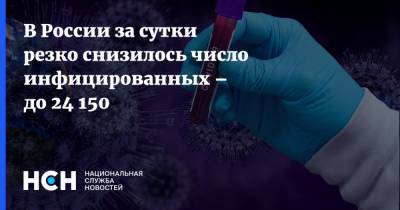 В России за сутки резко снизилось число инфицированных – до 24 150 - nsn.fm - Россия