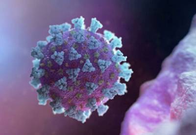 Ученые обнаружили, какая разница появления мутаций у коронавируса от других вирусов - facenews.ua - Украина