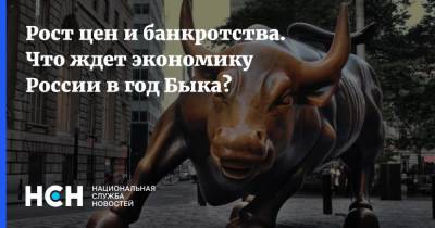 Рост цен и банкротства. Что ждет экономику России в год Быка? - nsn.fm - Россия