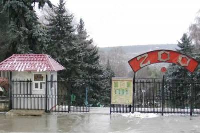 В Кишиневском зоопарке звери третий день не могут есть из-за фейерверков - eadaily.com - Кишинев