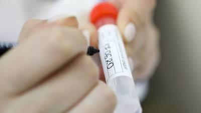 В США рассказали о самой "достоверной" версии появления коронавируса - newinform.com - Сша - Китай