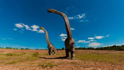 Останки самого большого динозавра обнаружили на территории Аргентины - nation-news.ru - Аргентина
