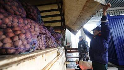 Эксперт рассказал секреты правильного приготовления картофеля - crimea.ria.ru - Симферополь - республика Крым