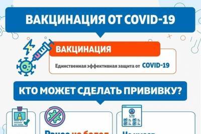 Более 5,5 тысяч северян сделали прививку от коронавируса - murmansk.mk.ru - Мурманская обл.