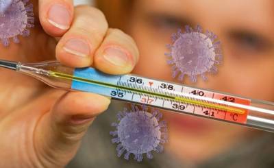 Ирина Ярцева - Иммунолог назвала отличия гриппа от коронавируса - runews24.ru - Москва