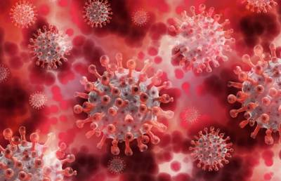 В России выявили 18 359 новых случаев коронавируса - bash.news - Россия