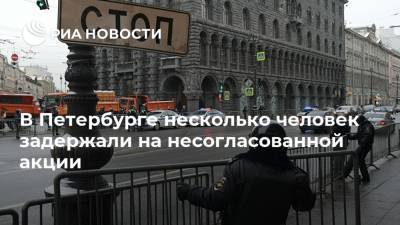 В Петербурге несколько человек задержали на несогласованной акции - ria.ru - Санкт-Петербург