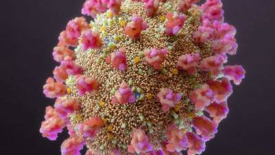 Медики сообщили, как по внешнему виду языка определить коронавирус - actualnews.org - Англия