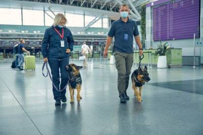 В римском аэропорту появились “антиковидные” собаки - skuke.net - Италия - Фьюмичино