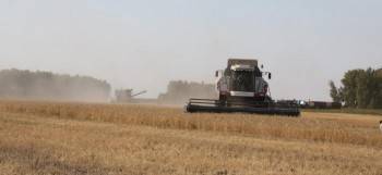Хрена не хватает: в России упали урожаи всех сельхозкультур, кроме зерна - vologda-poisk.ru - Россия