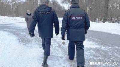 ГУ МВД: в Екатеринбурге задержали 83 человека - newdaynews.ru - Екатеринбург