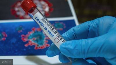 Пандемия коронавируса: самое важное за 31 января - nation-news.ru - Россия
