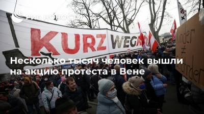 Несколько тысяч человек вышли на акцию протеста в Вене - ria.ru - Москва - Вена - Австрия