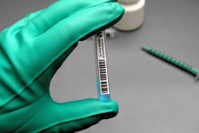 За сутки тест на коронавирус сдали около 23 тыс. петербуржцев - abnews.ru - Санкт-Петербург