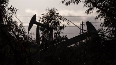 Цена нефти достигла максимума февраля в ожидании решения ОПЕК+ - vesti.ru - Лондон
