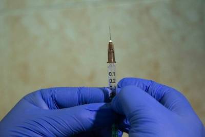 Прививки от коронавируса начинают ставить всем желающим омичам - tayga.info - Омск - Омская обл.