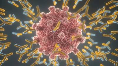 Мэтт Хэнкок - Не уверены, подействует ли вакцина: южноафриканская мутация коронавируса - самая опасная - germania.one - Англия - Юар