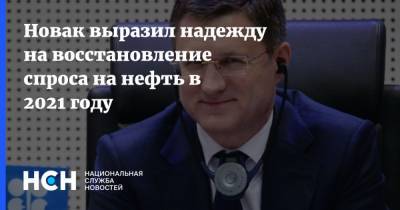 Александр Новак - Новак выразил надежду на восстановление спроса на нефть в 2021 году - nsn.fm - Россия