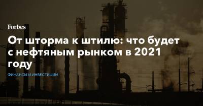 Владимир Путин - От шторма к штилю: что будет с нефтяным рынком в 2021 году - forbes.ru