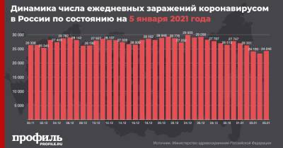 В России выявили 24246 случаев COVID-19 за сутки - profile.ru - Россия
