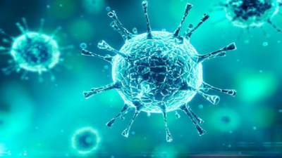 Новый штамм коронавируса обнаружили в Словакии - hubs.ua - Словакия