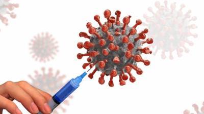 Исследователи нашли подавляющее коронавирус вещество - inforeactor.ru - Россия
