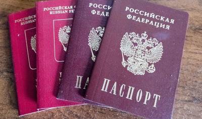 В 2020 году резко выросло число иностранцев, получивших гражданство России - newizv.ru - Россия - Донецкая обл.