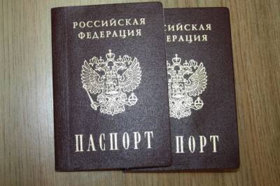 В ушедшем году выросло число иностранцев, ставших гражданами РФ - aif.ru - Россия