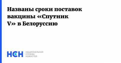 Дмитрий Мезенцев - Названы сроки поставок вакцины «Спутник V» в Белоруссию - nsn.fm - Россия - Белоруссия