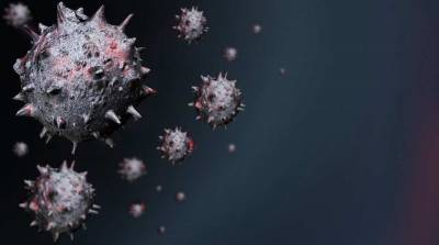 Ученые обнаружили способное подавлять коронавирус вещество - actualnews.org - Германия - Швеция