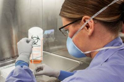 ВОЗ сообщила о выявлении «британского» штамма коронавируса в 41 стране мира - aif.ru - Юар
