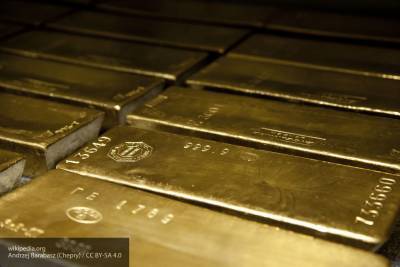 Грамотный ход РФ с золотовалютными резервами поразил экспертов из Германии - newinform.com - Россия - Германия