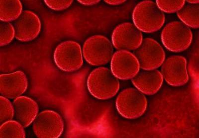Медики: От группы крови зависит сила иммунитета - actualnews.org