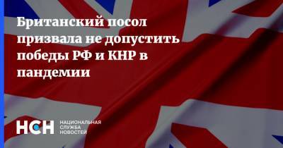 Карен Пирс - Британский посол призвала не допустить победы РФ и КНР в пандемии - nsn.fm - Россия - Сша - Англия - Китай