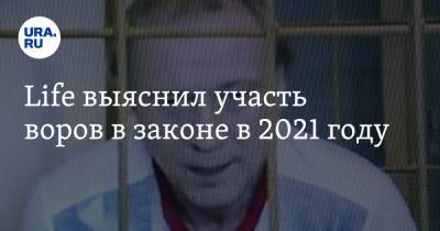 Life выяснил участь воров в законе в 2021 году - ura.news - Россия