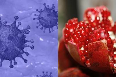 Ученые заявили о способности фитотерапии противостоять коронавирусу - mk.ru