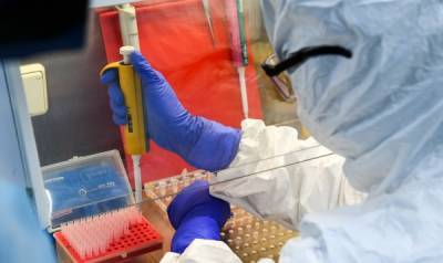 Британский штамм коронавируса выявлен уже в 22 странах Европы - nakanune.ru